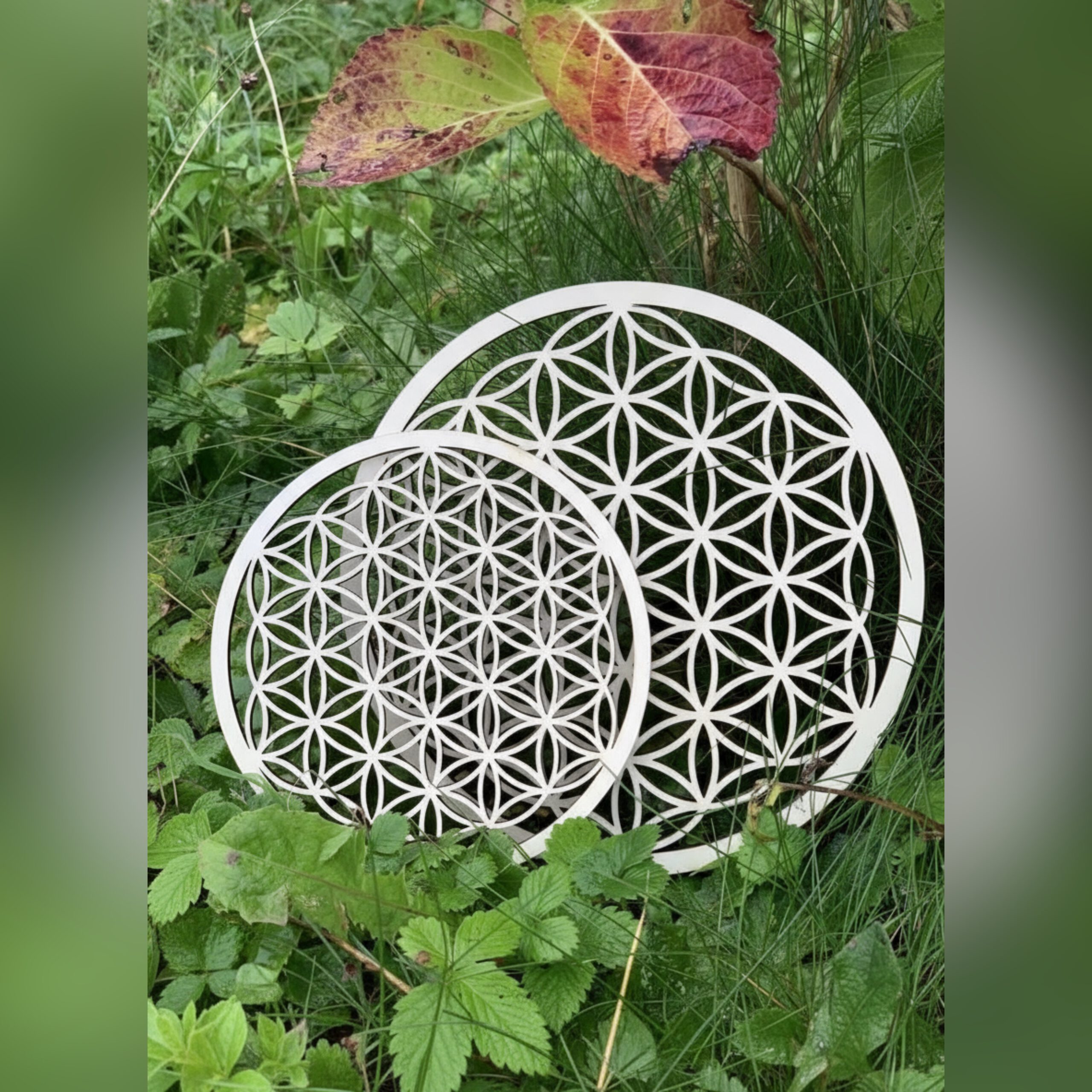 Blume des Lebens aus Pappel-Holz, verschiedene Durchmesser